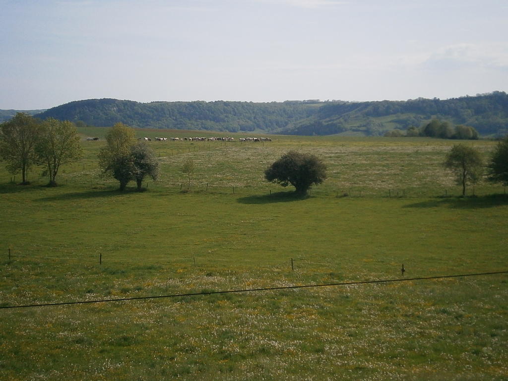 Le P'Tit Bonheur Bed and Breakfast Chilly-sur-Salins Esterno foto